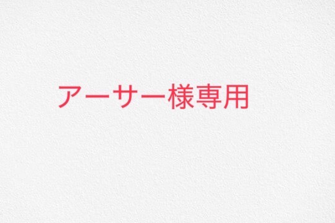 アーサー 室内用テント