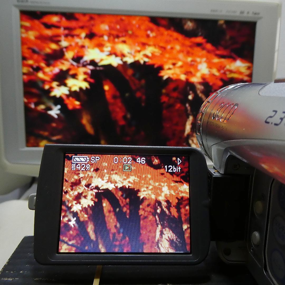 パナソニック NV-GS200【 動作良好】 MiniDVビデオ　ダビングに最適