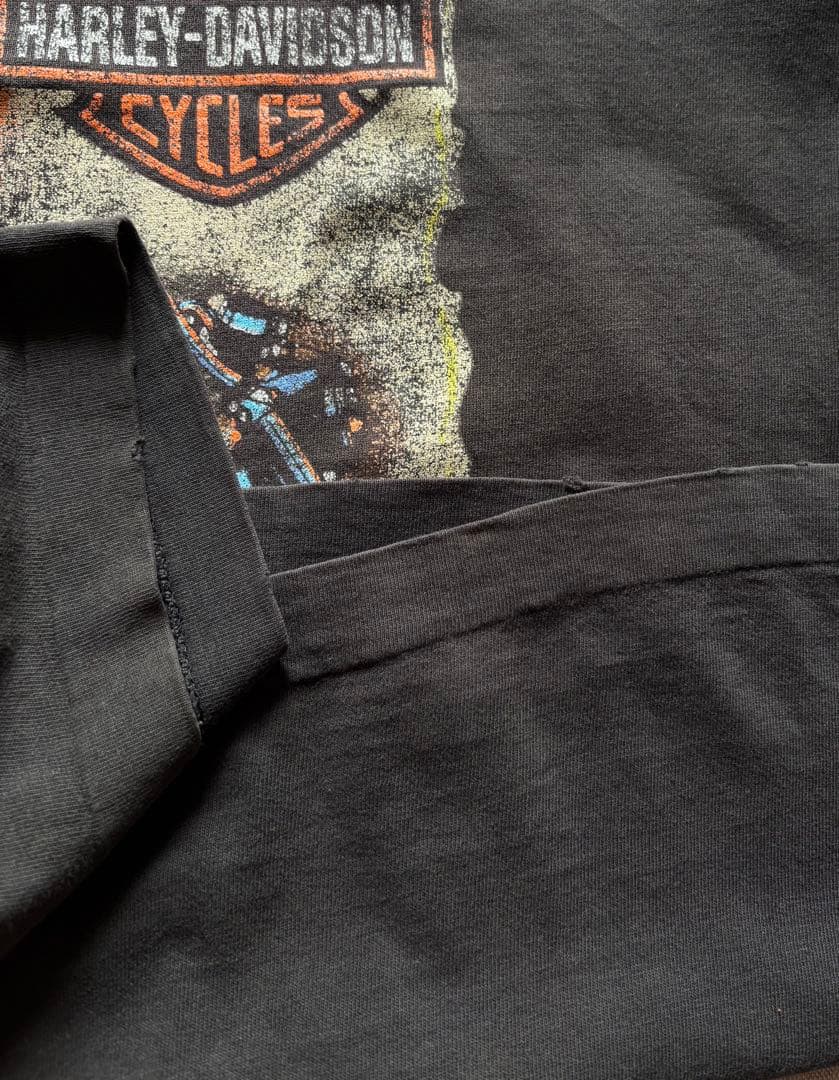 雰囲気抜群 90s ハーレーダビッドソン ルーニーチューンズ Tシャツ カナダ製