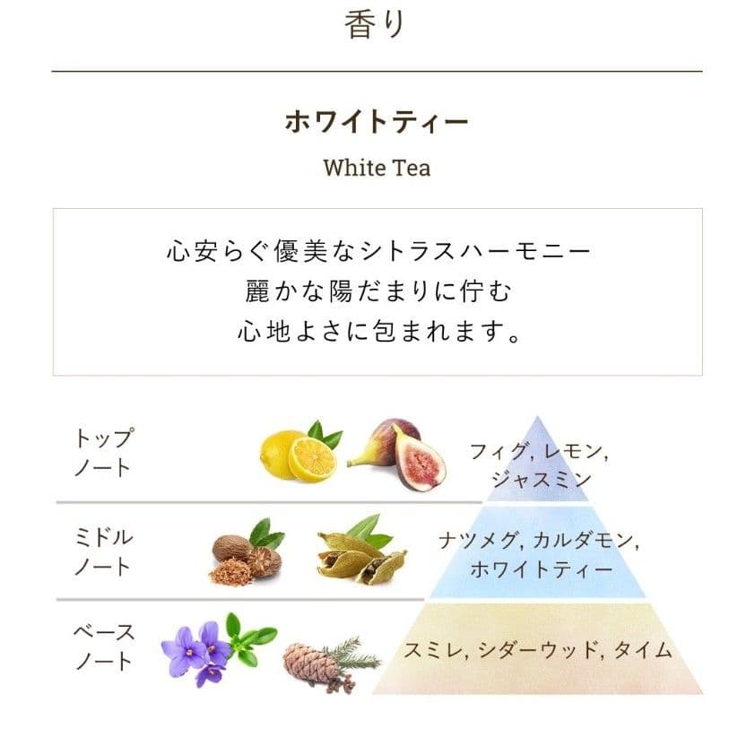 SABON ホワイトティー ボディケアセット　ギフトBOX　新品未使用