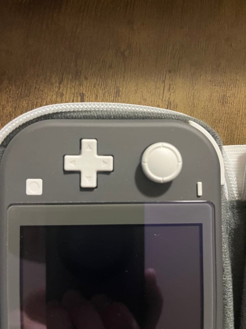 Nintendo Switch Lite グレー 10回程度の使用歴