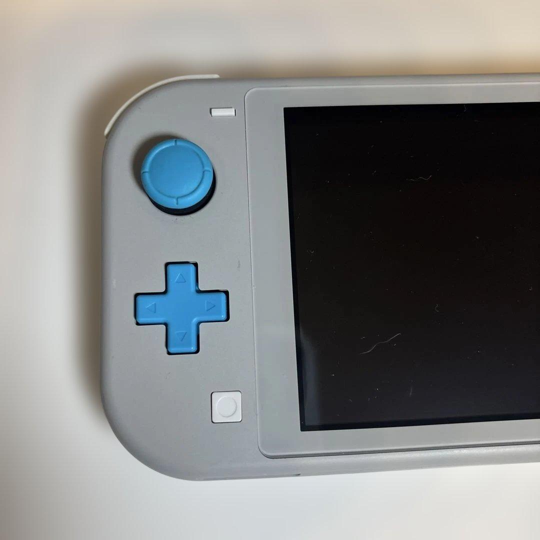 Nintendo Switch Lite ザシアン・ザマゼンタ 美品 ケース付き