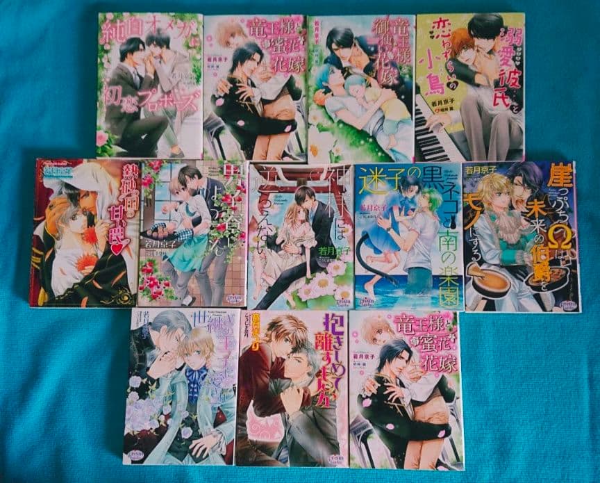 BL文庫 ボーイズラブ まとめ売り　60冊　崎谷はるひ　入手困難　秘蔵　絶版