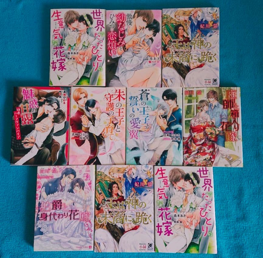 BL文庫 ボーイズラブ まとめ売り　60冊　崎谷はるひ　入手困難　秘蔵　絶版
