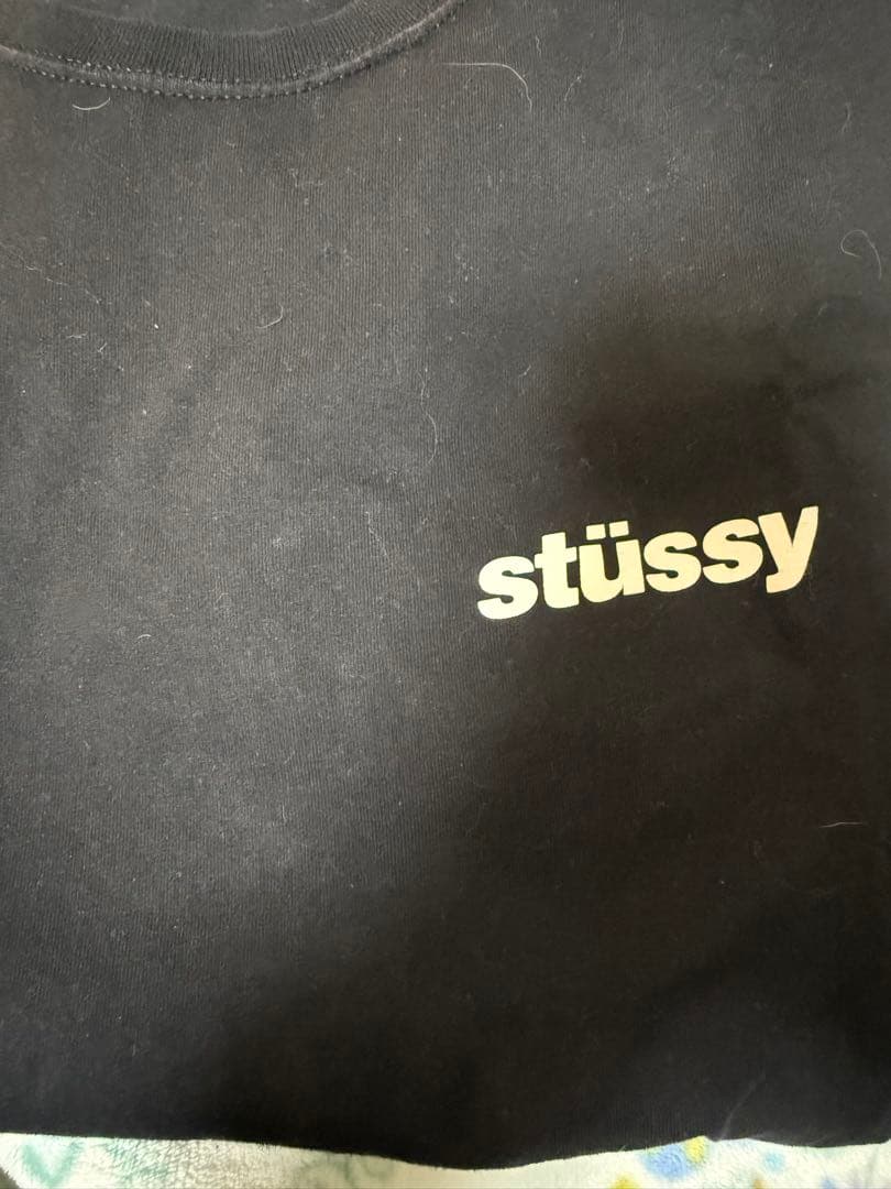 STUSSYのTシャツLサイズ