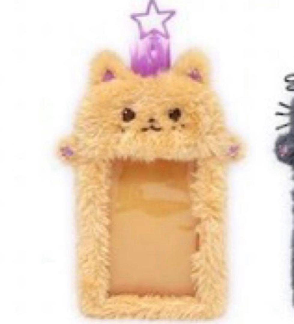 ネコ
