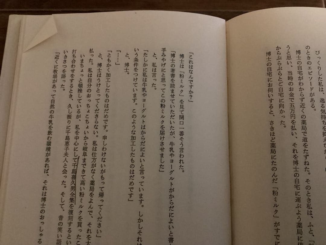 ガン療法 ガンとの共存と自然治癒への道 加藤 清