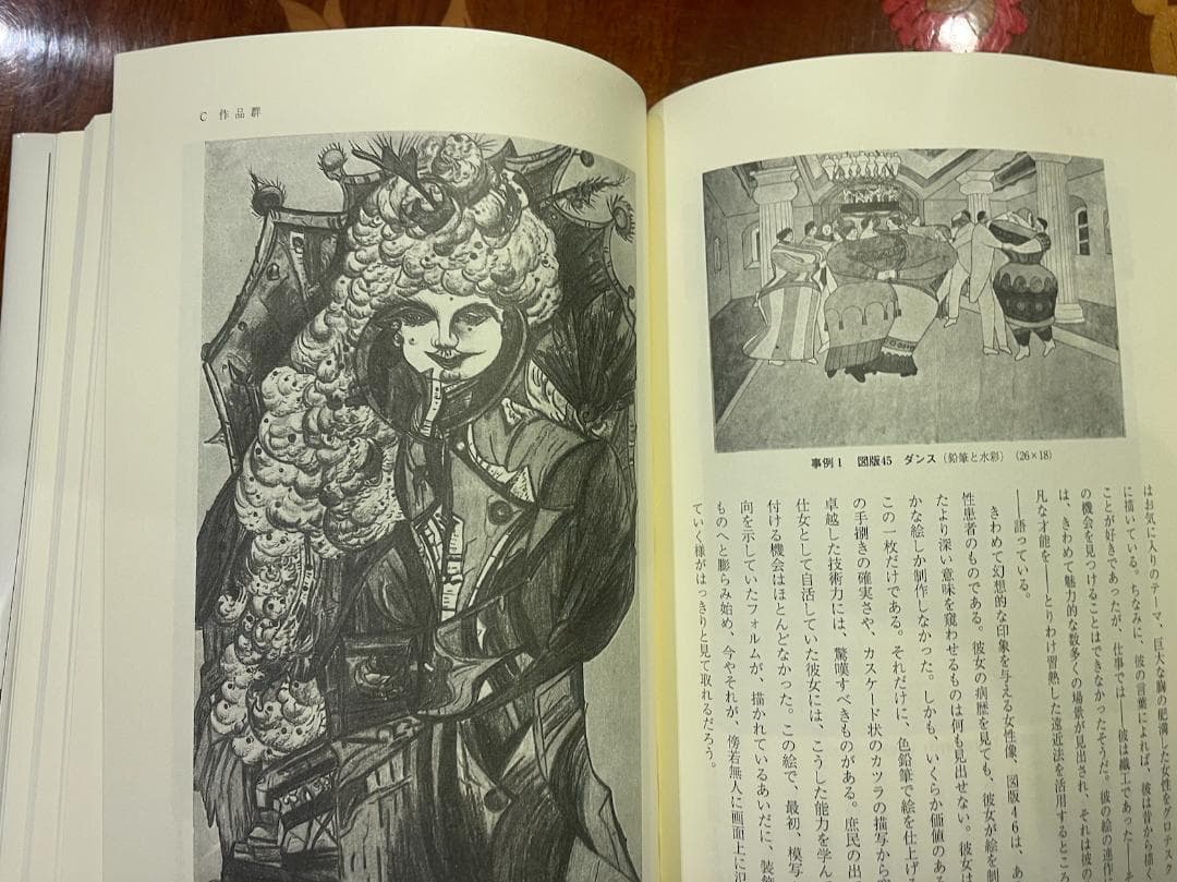 【絶版】アウトサイダーアート・精神病者はなにを創造したのか・図説