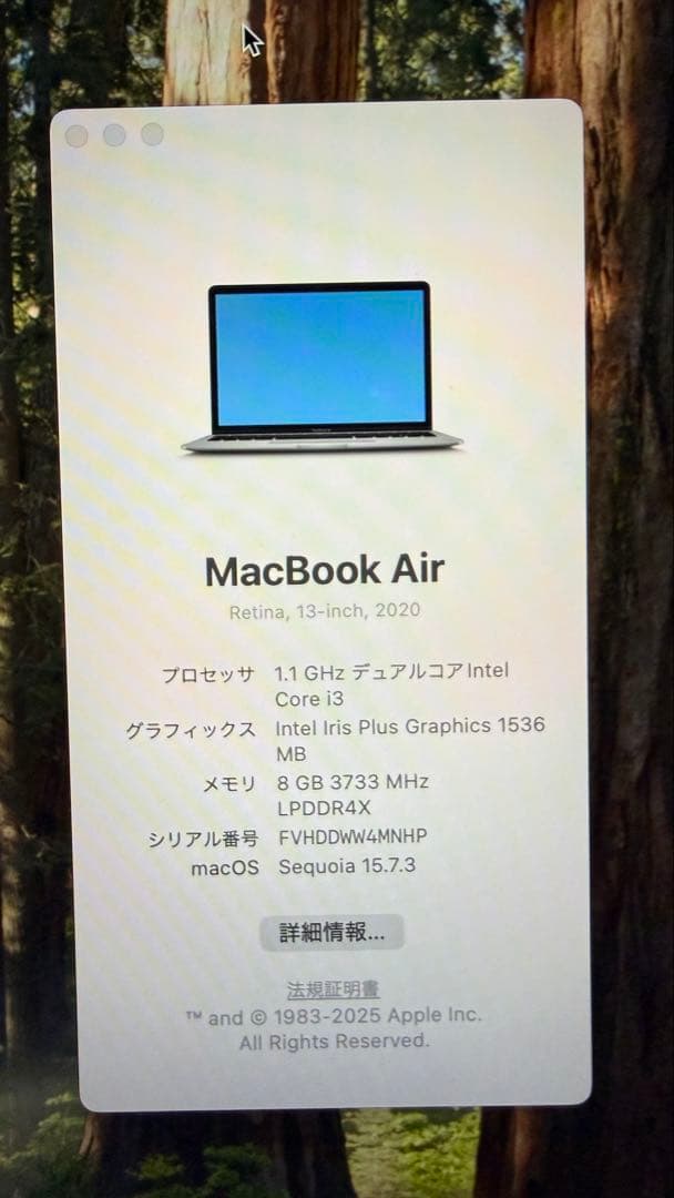 MacBook Air Intel Core i3 256GB 充電器・箱有