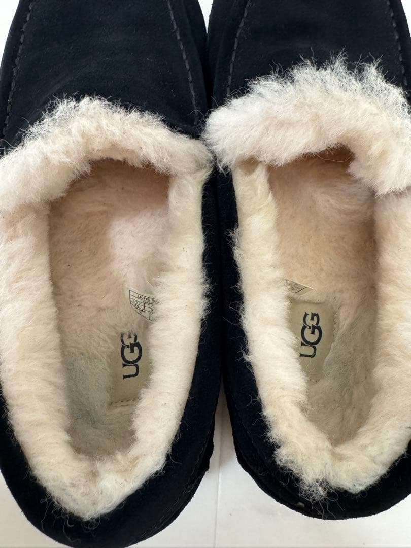 UGG アスコット スウェード メンズ ASCOT SUEDE 28cm