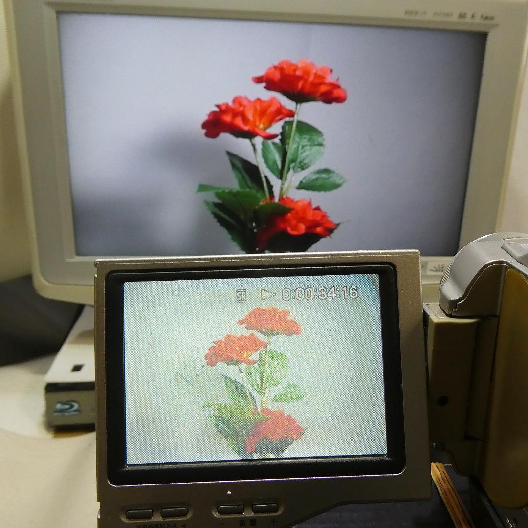 ソニー DCR-TRV8 【動作良好】MiniDV ビデオカメラ　ダビングに最適