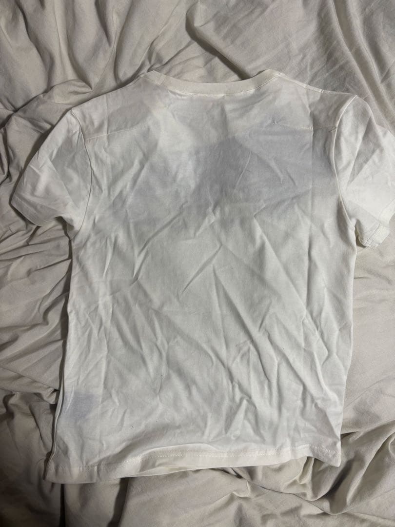 Dior homme 04aw votc期　エディ期　フューチャーアイ　tシャツ