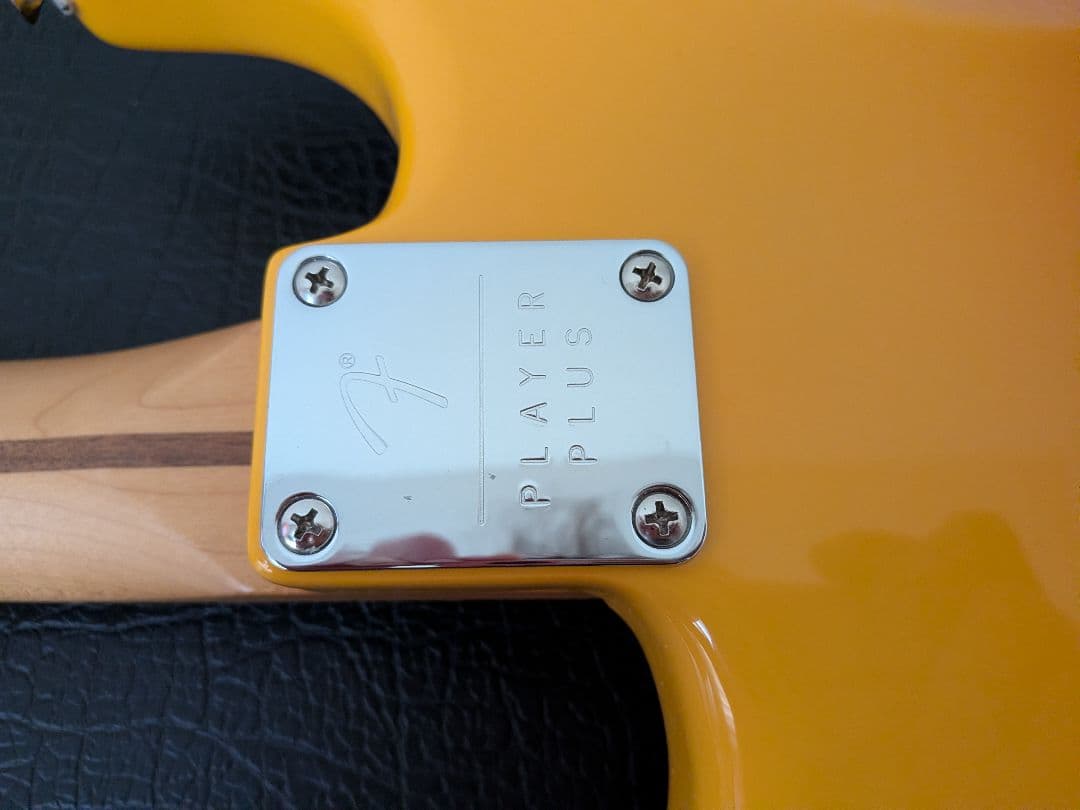 ギター Fender Player Plus Stratocaster