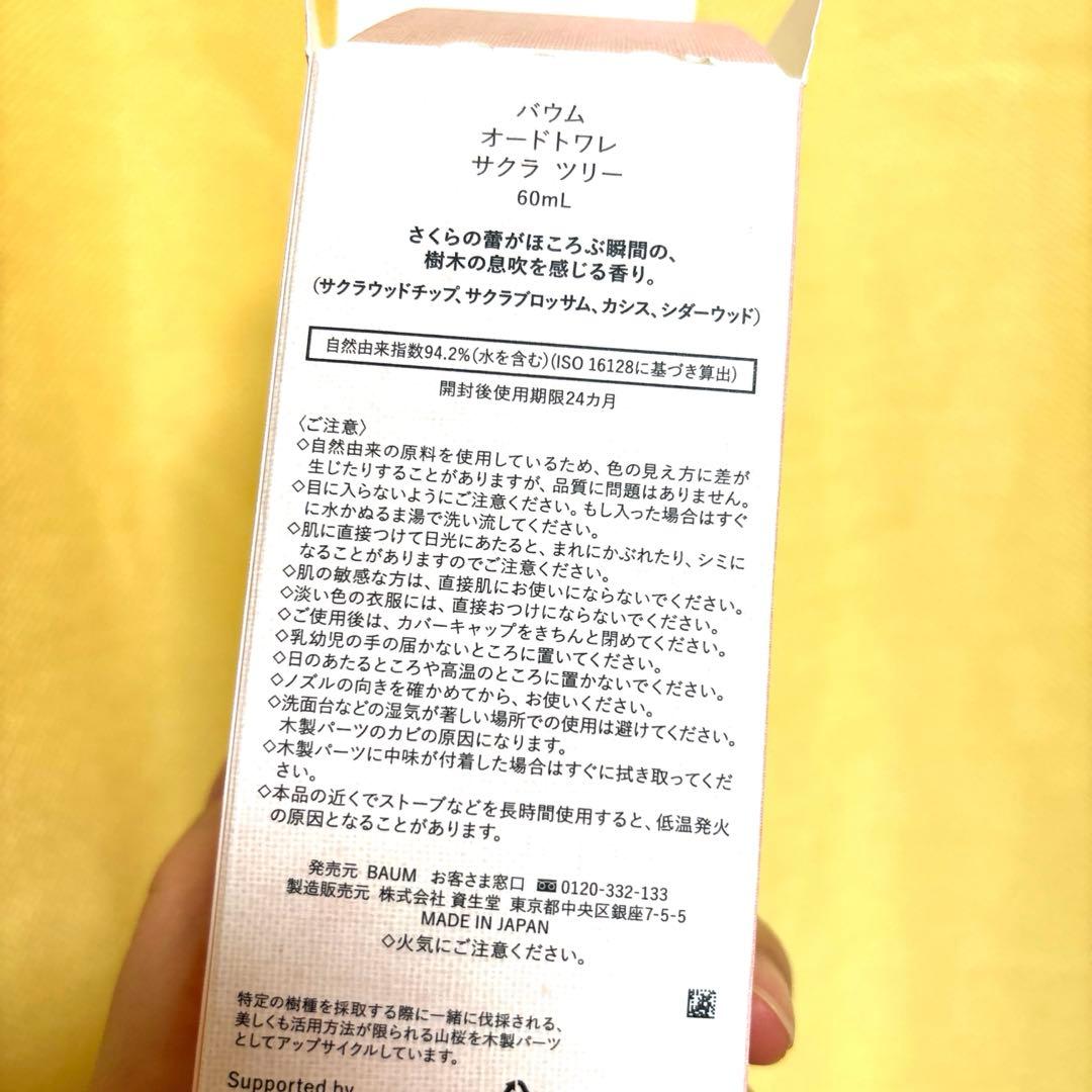 BAUM SAKURA TREE サクラツリー