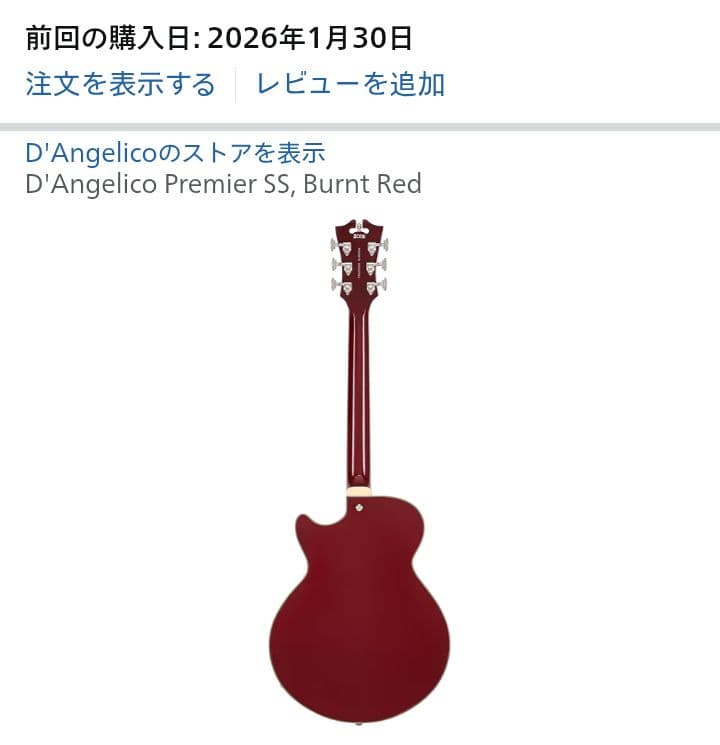 【未使用】D'Angelico Premier SS Burnt Red ギター