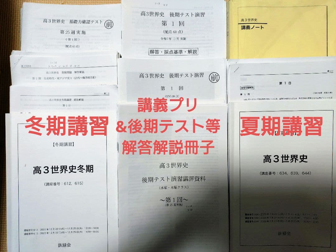 鉄緑会2025 世界史講義ノート&講義プリ等＋夏期・冬期テキスト等