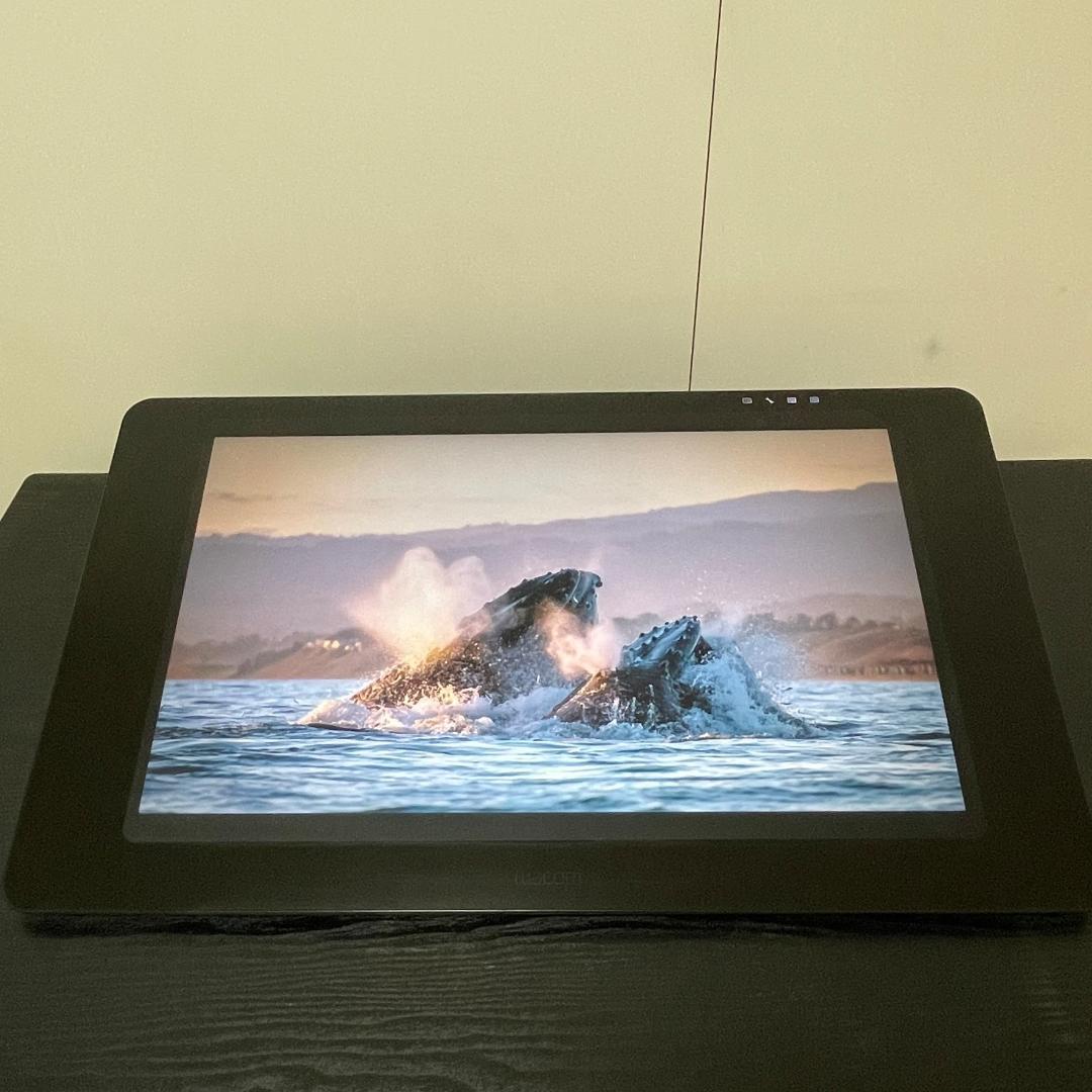 Wacom Cintiq Pro 24 22年製 液晶ペンタブレット本体