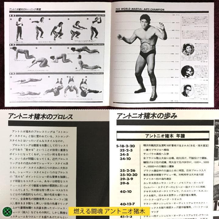 LP5枚セット 新日本プロレス アントニオ猪木 長州力 ホーガン タイガーマスク
