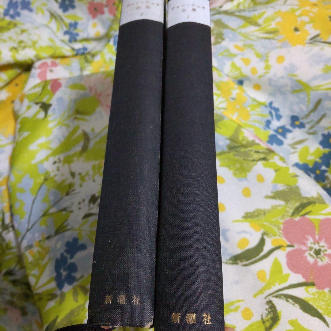 ジャン・ジュネ全集 1巻2巻 葬儀 泥棒日記 ブレストの乱暴者 花のノートルダム