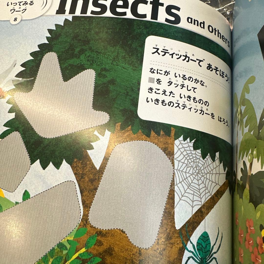 値下げしました★こどもちゃれんじすてっぷ English（年中さん向け）1年分
