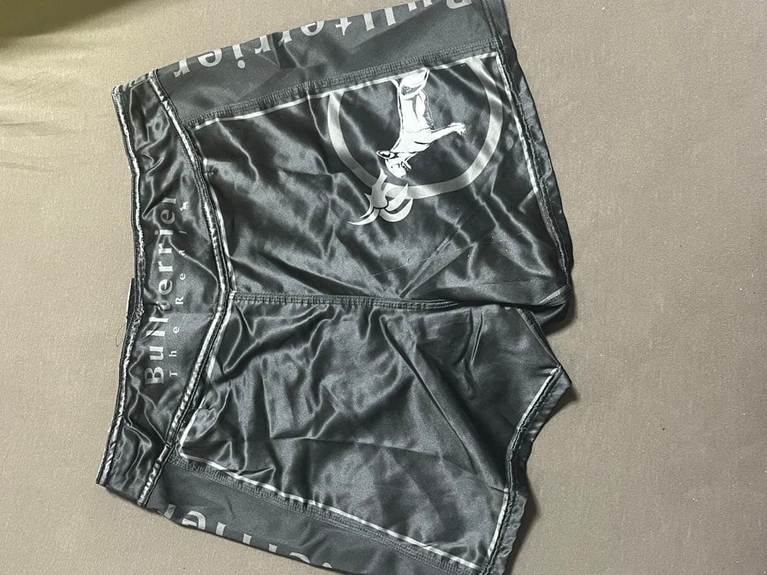 Bullterrier ラッシュガード ファイトパンツ セット サイズM