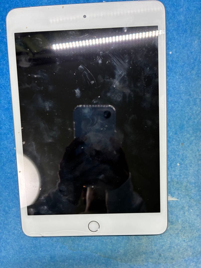 Apple iPad mini5セルラー（au）シルバー ケース付き