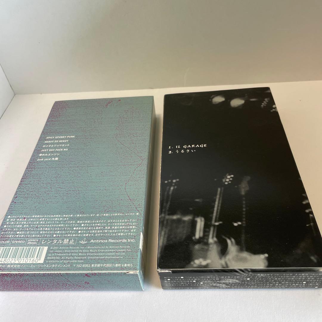 ザ・モッズ　VHS 13本セット