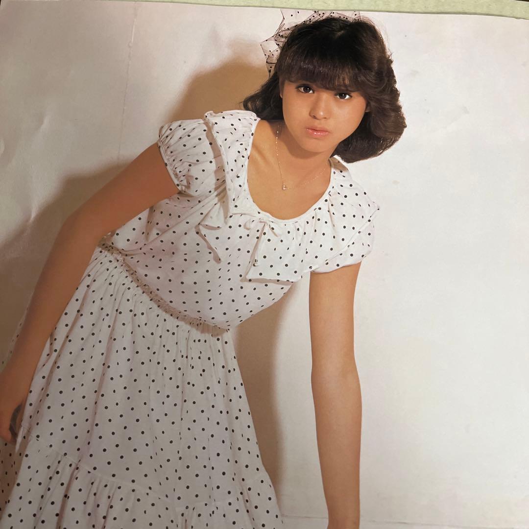 貴重1981年　松田聖子コンサート　パンフ