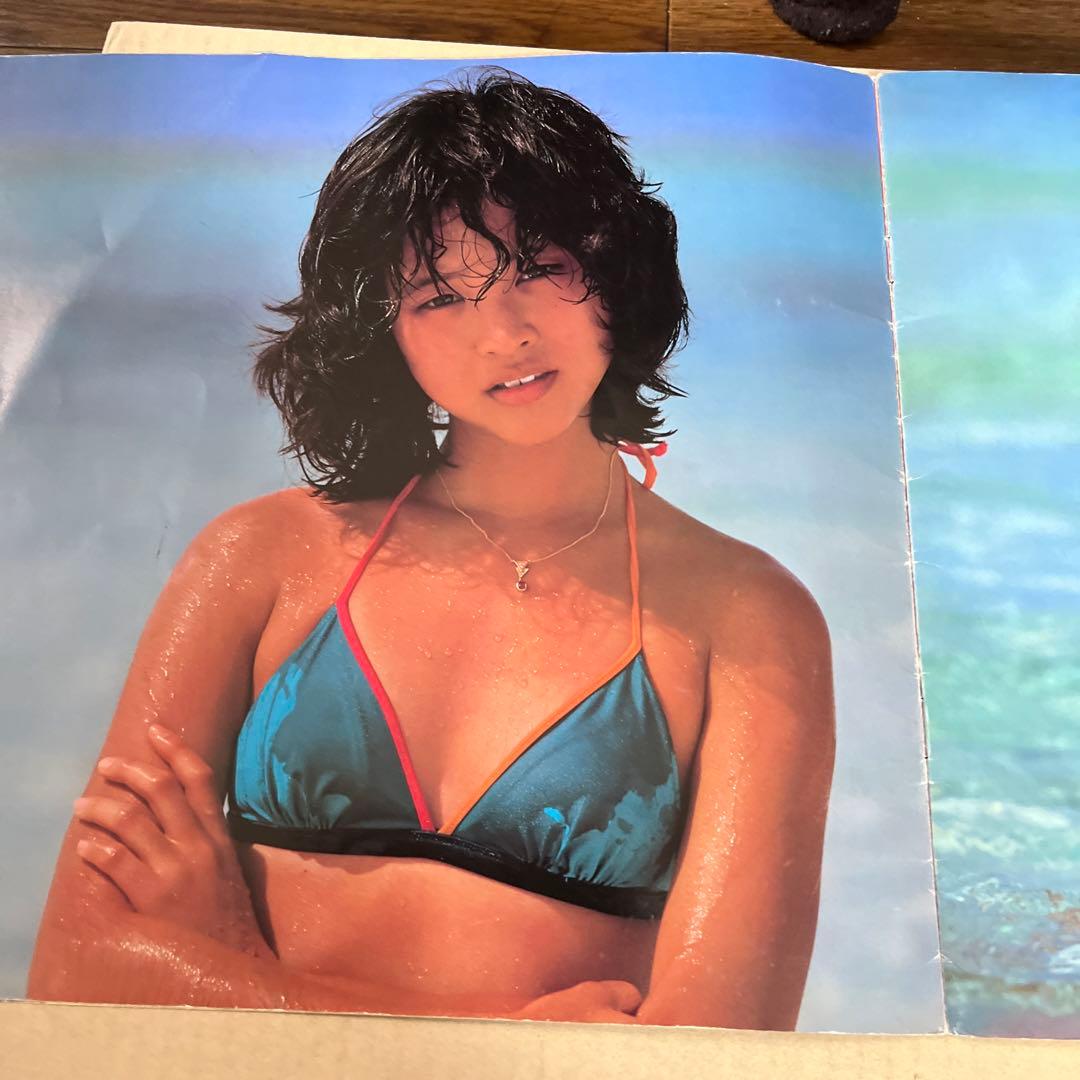 貴重1981年　松田聖子コンサート　パンフ