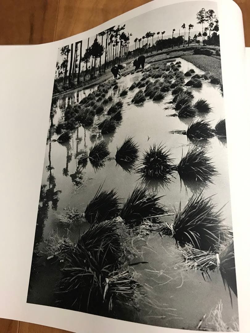署名　岩波書店 濱谷浩 写真集成 地の貌・生の貌 1940－1980