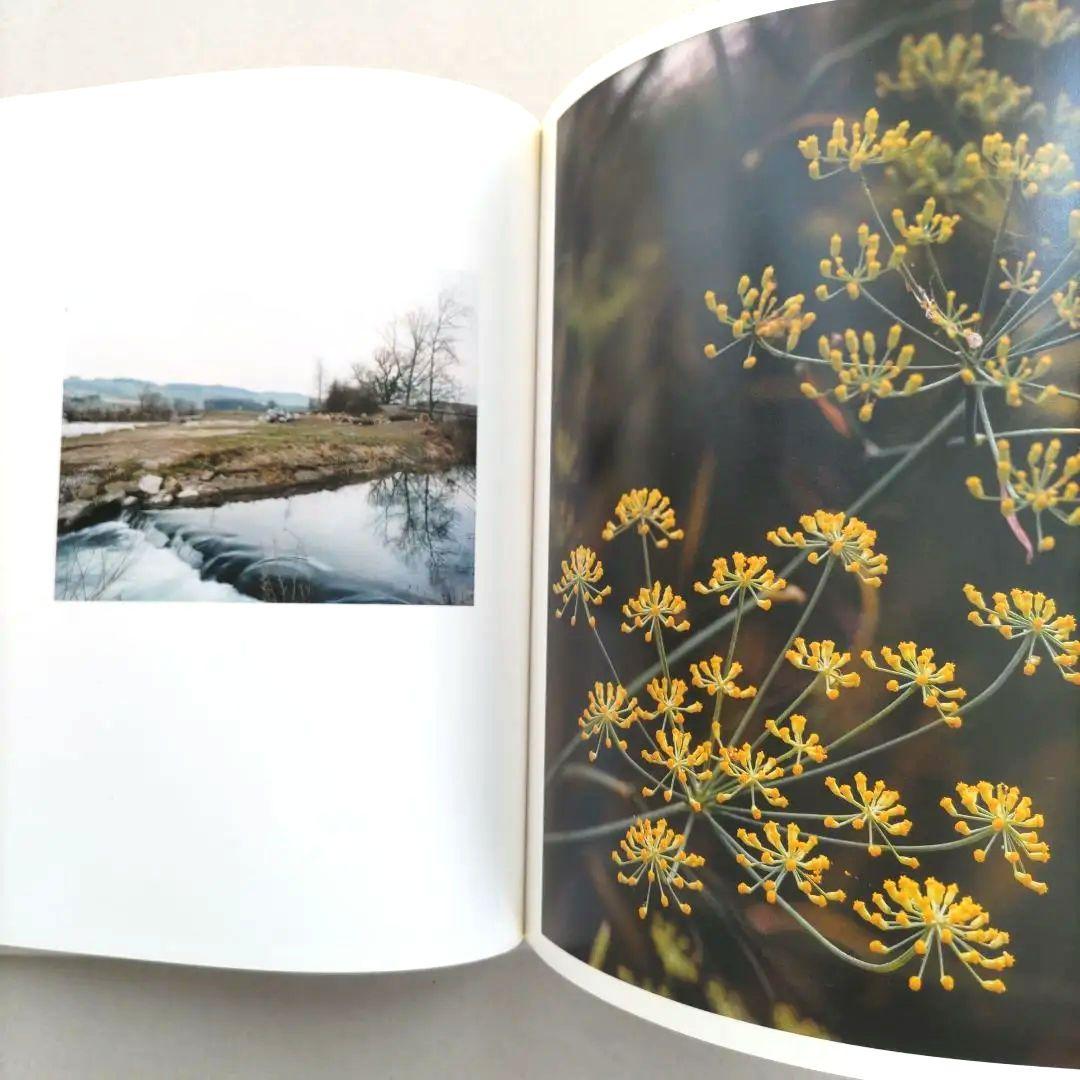 thomas struth:Dandelion Room/写真集 作品集 洋書