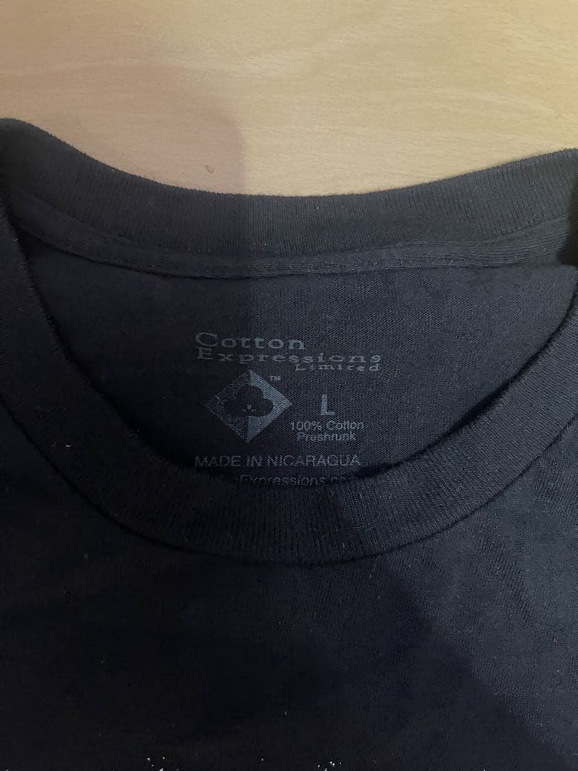 オフィシャル　Cotton Expressions アインシュタイン Tシャツ