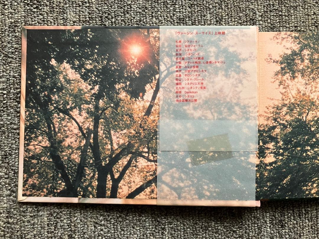 アート・デザイン・音楽 the virgin suicides / sofia coppola