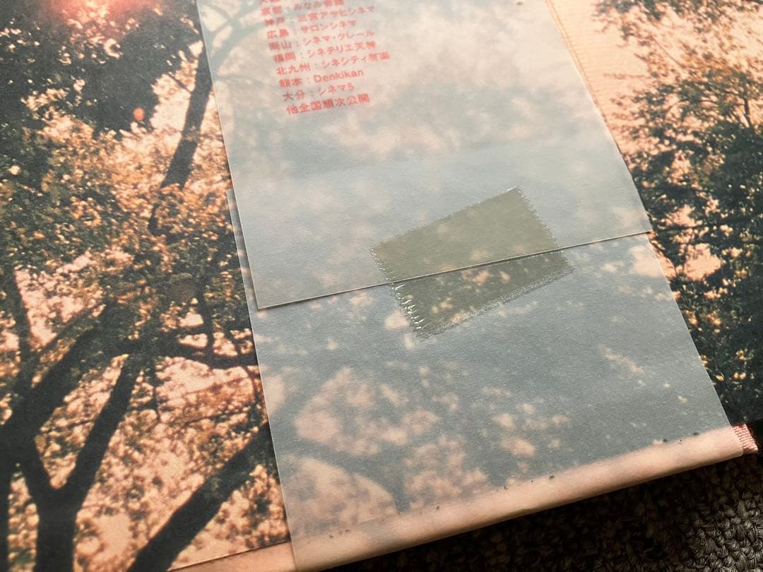 アート・デザイン・音楽 the virgin suicides / sofia coppola
