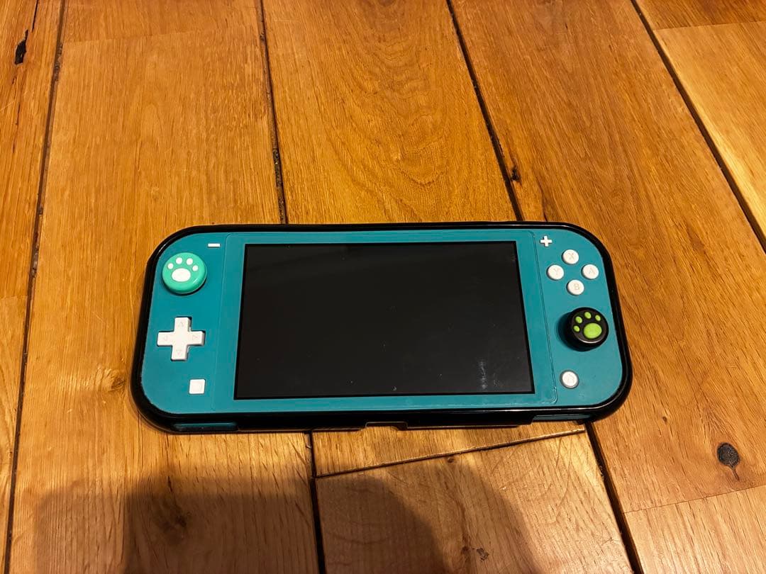 Nintendo Switch Lite ターコイズ　ケース付き