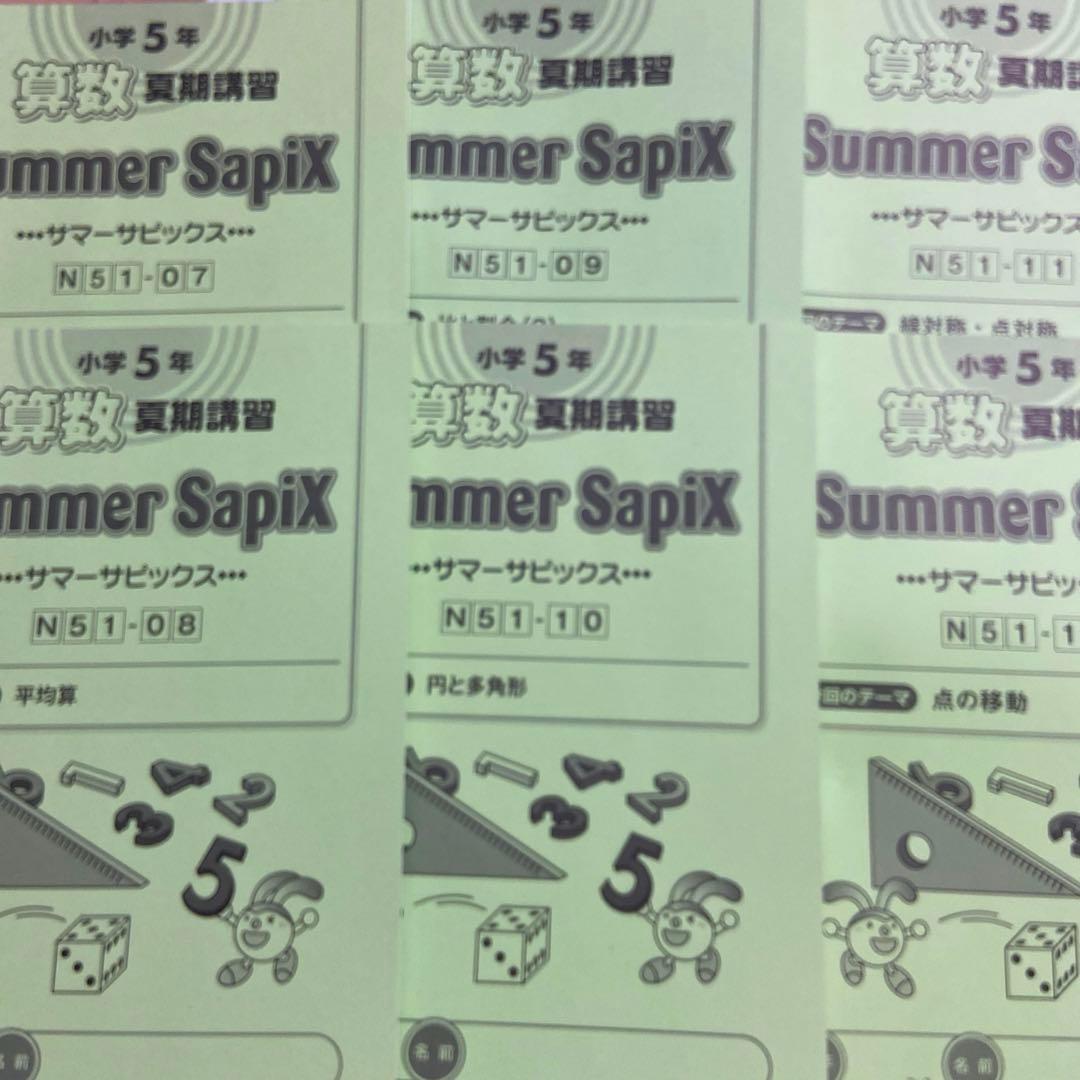 サピックス 5年 算数夏期講習 Summer sapix フルセット。(14冊)