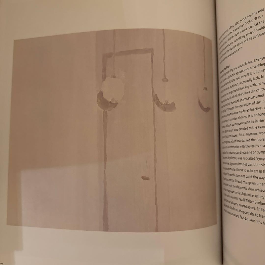 Luc Tuymans 作品集　Phaidon社