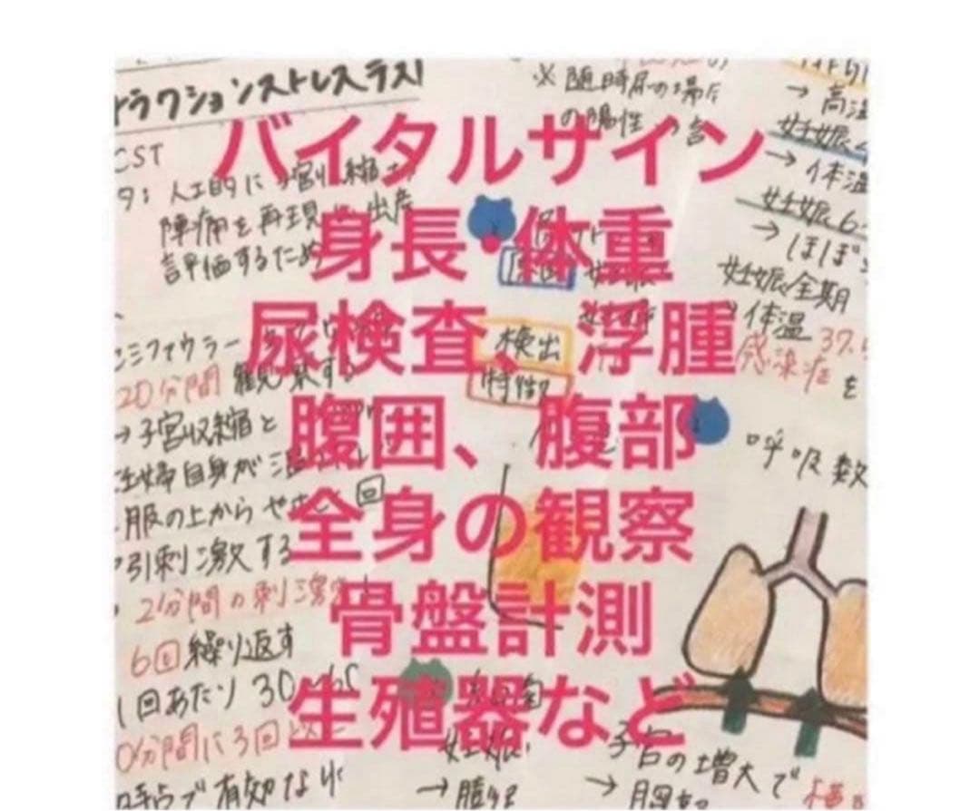 助産師　助産学生　国家試験　合格　実習味方セット　まとめノート　ポケットサイズ