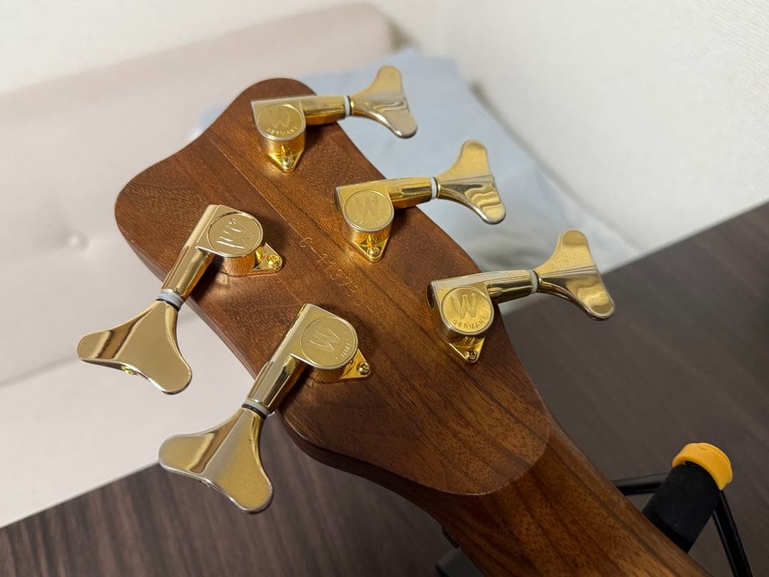 【ドイツ製】Warwick streamer jazzman 5【5弦ベース】