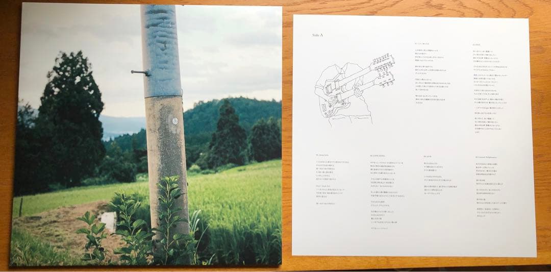 田中ヤコブ⭐︎2nd LP「おおきにどうぞ」レコード　家主