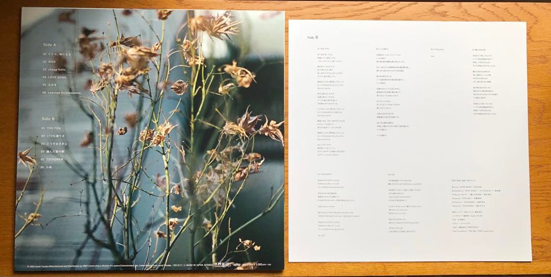 田中ヤコブ⭐︎2nd LP「おおきにどうぞ」レコード　家主