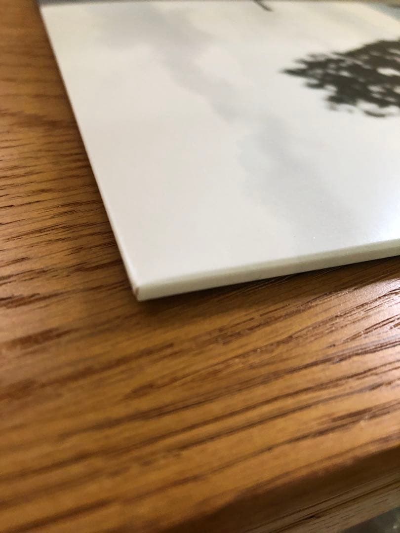田中ヤコブ⭐︎2nd LP「おおきにどうぞ」レコード　家主