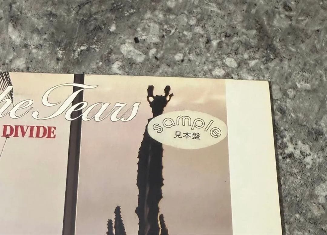 ALEX CALL LP レコード 見本盤