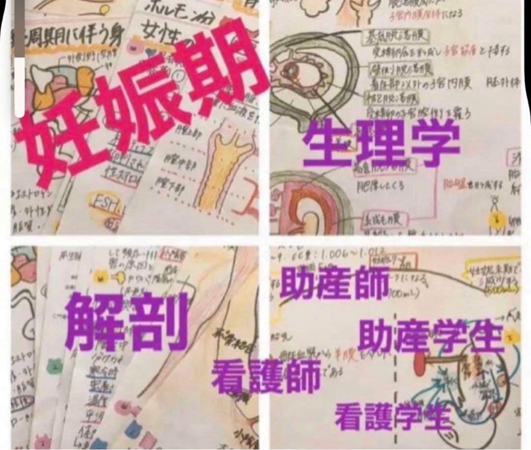 助産師　助産学生　看護師　看護学生　妊娠期　分娩期　産褥期フィジカルアセスメント