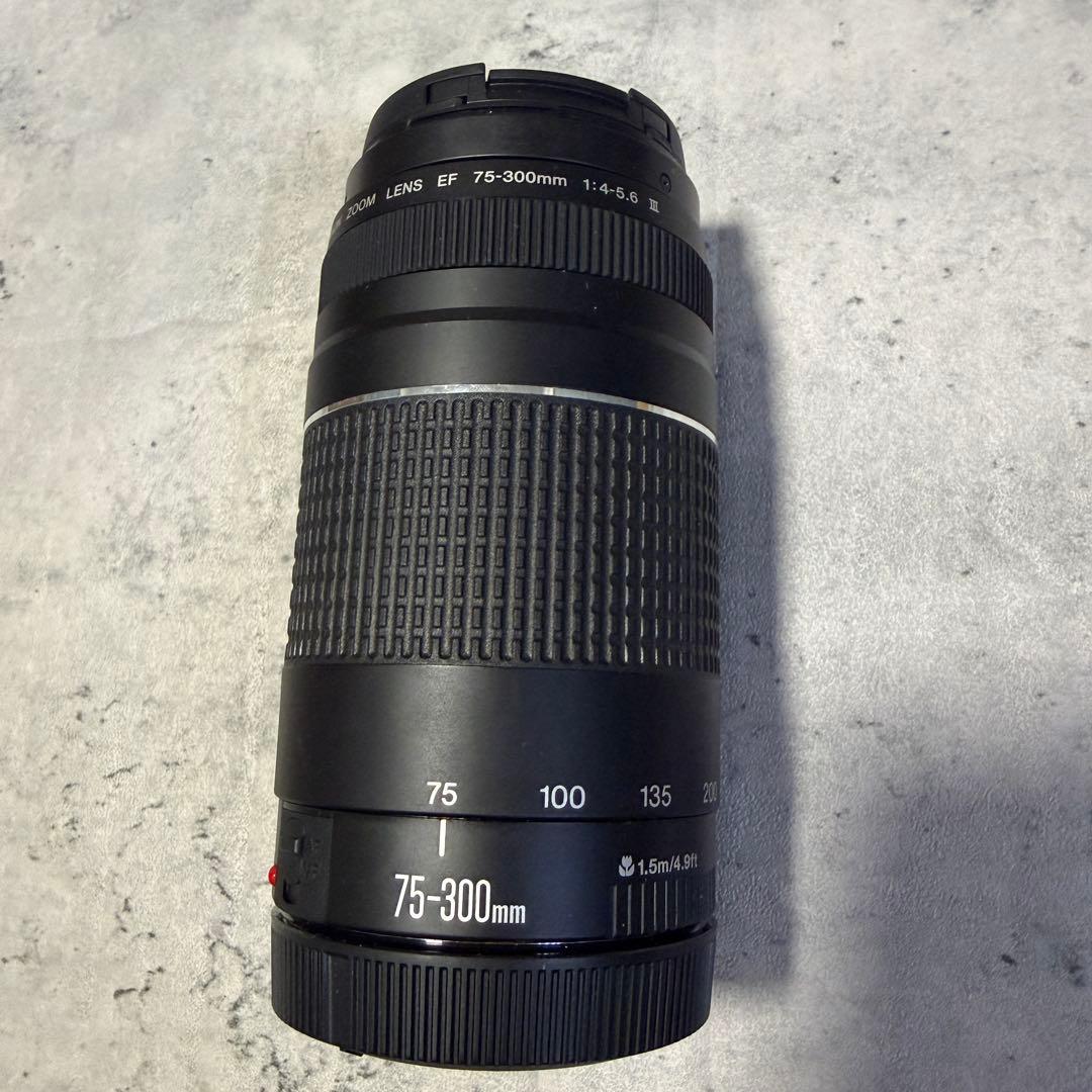 美品Canon EF 75-300mm F4-5.6 Ⅲ