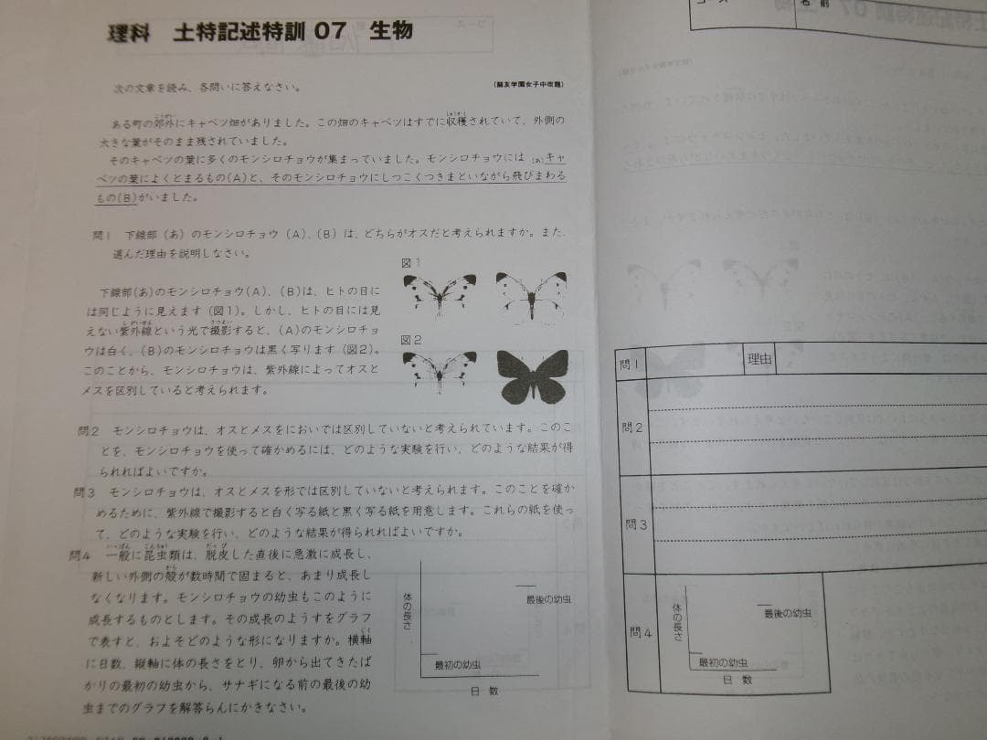 サピックス＊６年・理科／記述特訓プリント～難関校頻出・全１６回完全版＊貴重 レア