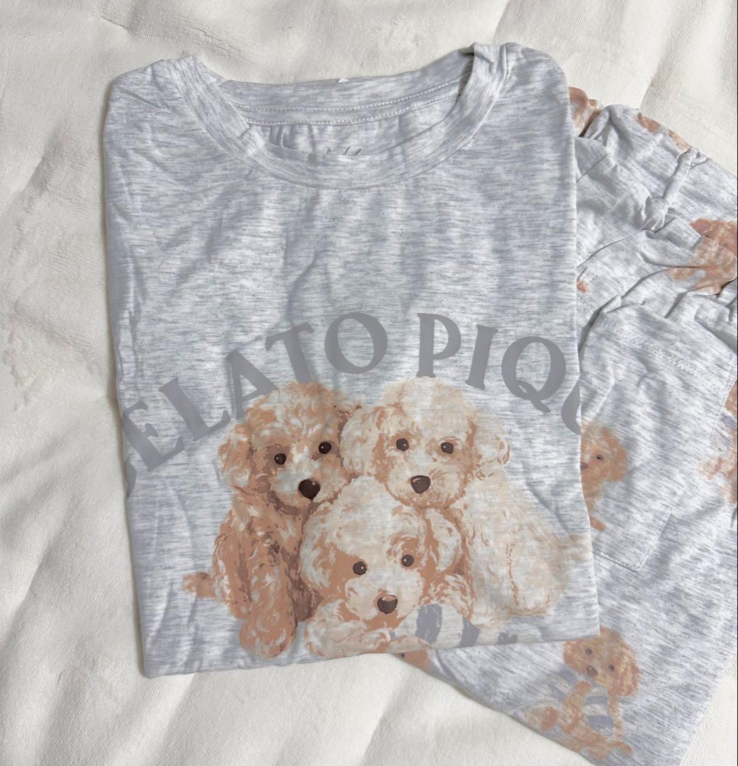 【新品未使用】ジェラートピケ　犬　プードル　半袖ロゴTシャツ　ロングパンツグレー