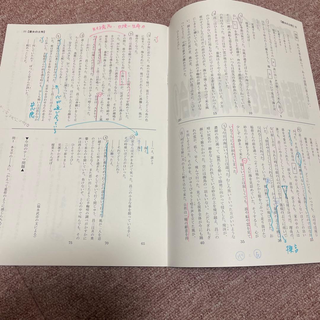 早稲アカ土曜特訓　慶女の国語 5冊セット