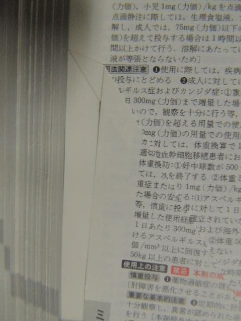 L3 日本医薬品集 医療薬 2009