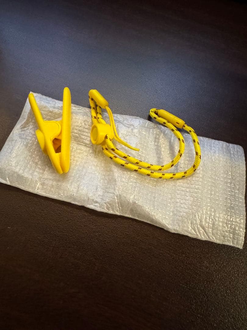 pokemon plus + ポケモンGOプラス プラス 美品